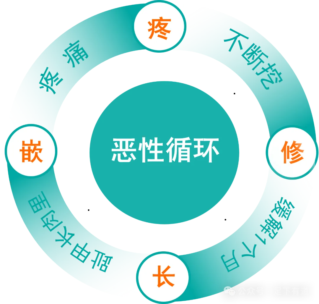 图片|409